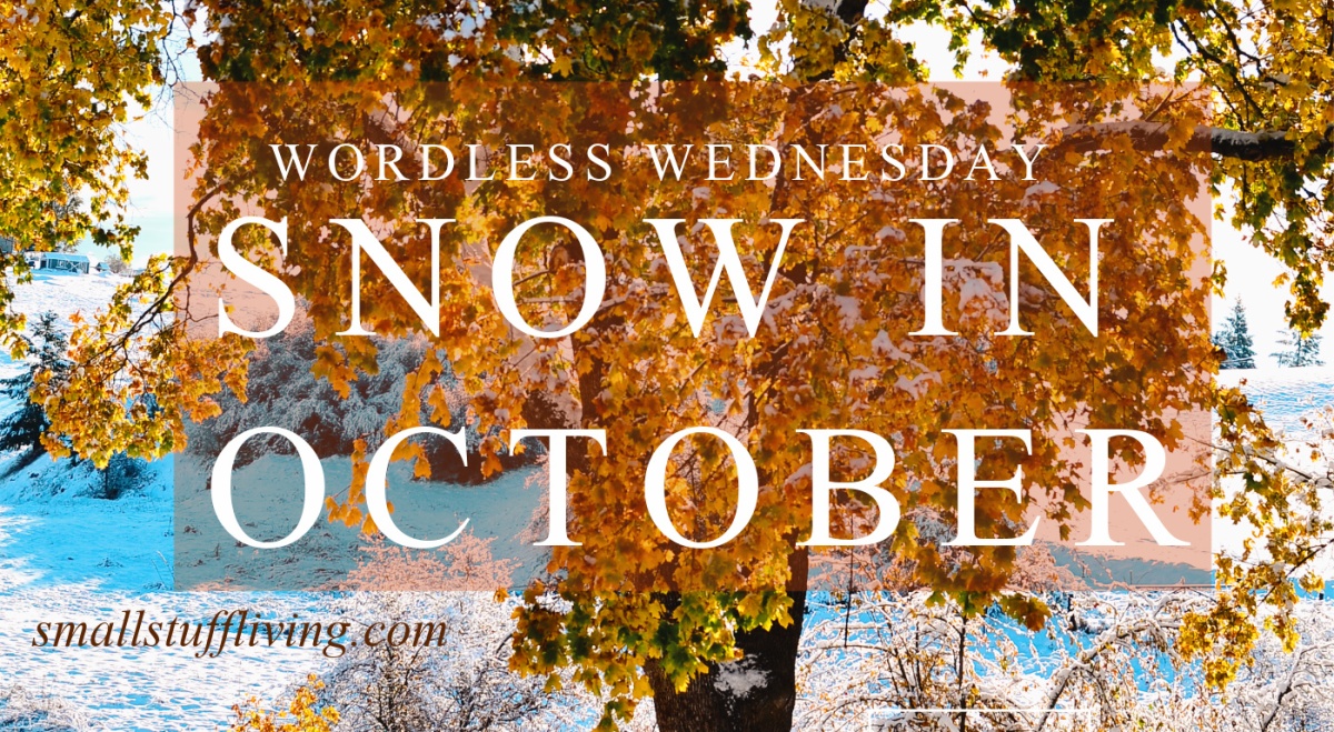 Wordless Wednesday – October Snow