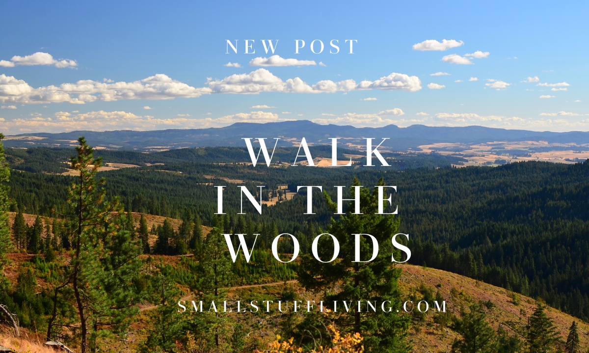 Walk in the Woods